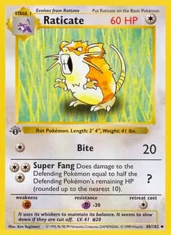 Raticate — Base Set — Uncommon