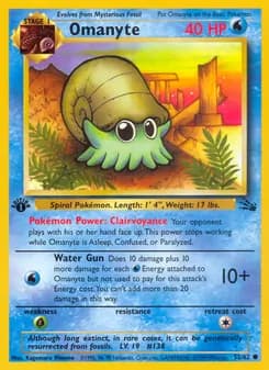 Omanyte — Fossil — Common