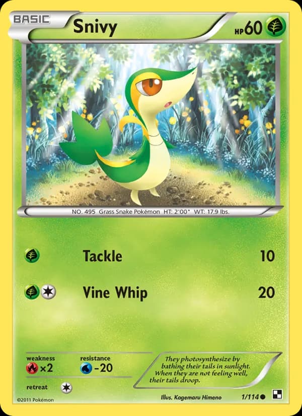 Snivy — Black & White, Common