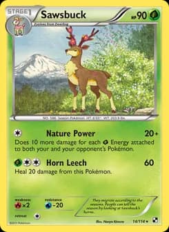 Sawsbuck — Black & White — Rare