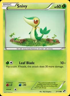 Snivy — Black & White — Common