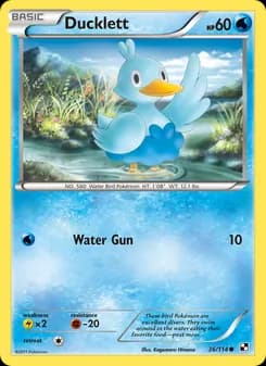 Ducklett — Black & White — Common
