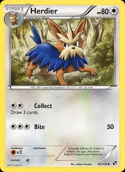 Herdier — Black & White — Uncommon