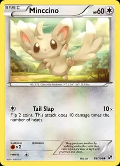 Minccino — Black & White — Common
