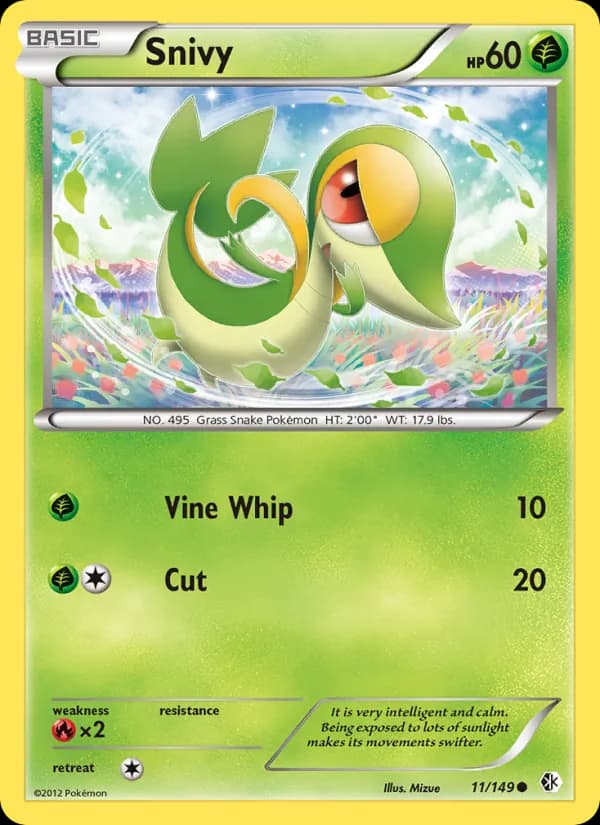 Snivy — Boundaries Crossed, Common