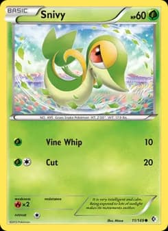 Snivy — Boundaries Crossed — Common