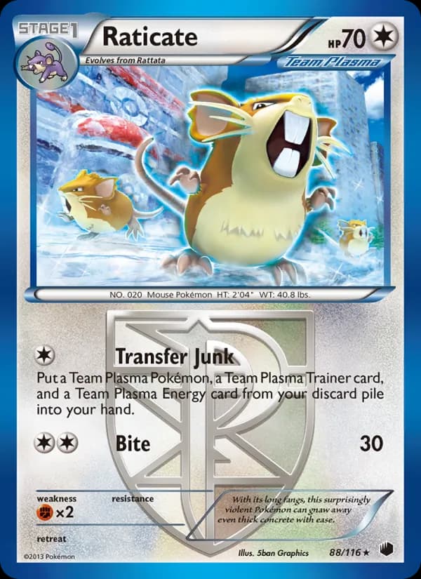 Raticate — Plasma Freeze, Rare