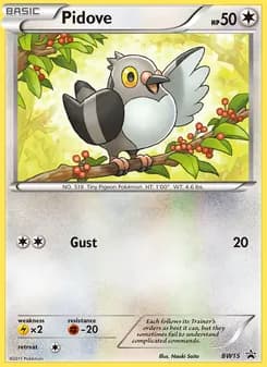 Pidove — BW Black Star Promos — Common