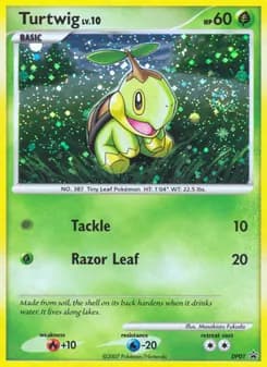 Turtwig — DP Black Star Promos — Common