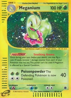 Meganium — Expedition Base Set — Rare