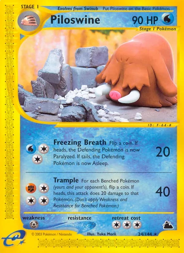 Piloswine — Skyridge, Rare