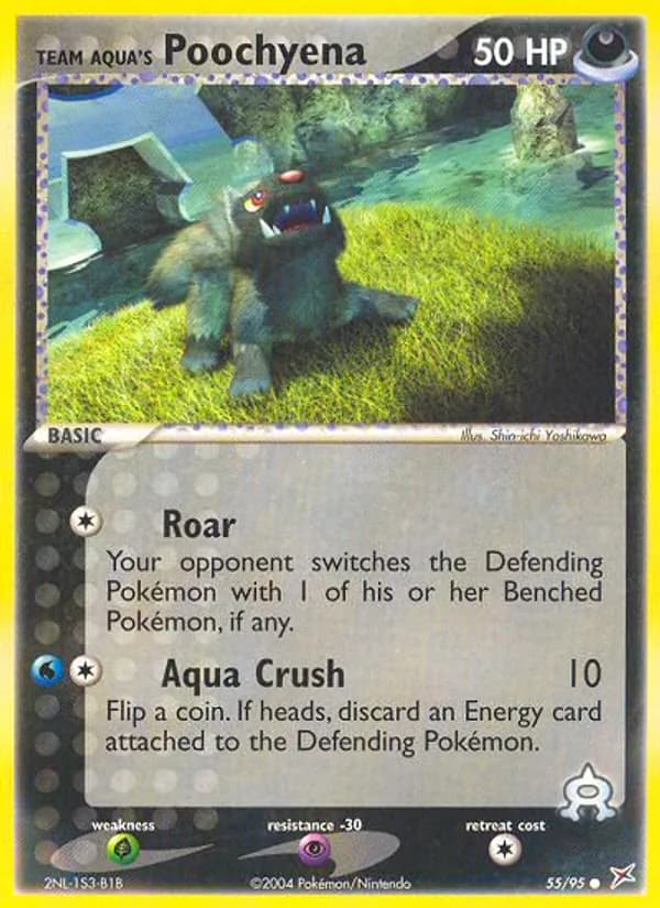 Team Aqua's Poochyena — Team Magma vs Team Aqua, Common