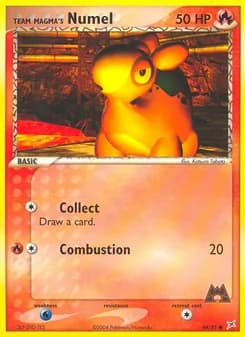Team Magma's Numel — Team Magma vs Team Aqua — Common