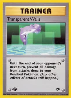 Transparent Walls — Gym Challenge — Common