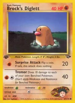 Brock's Diglett — Gym Challenge — Common