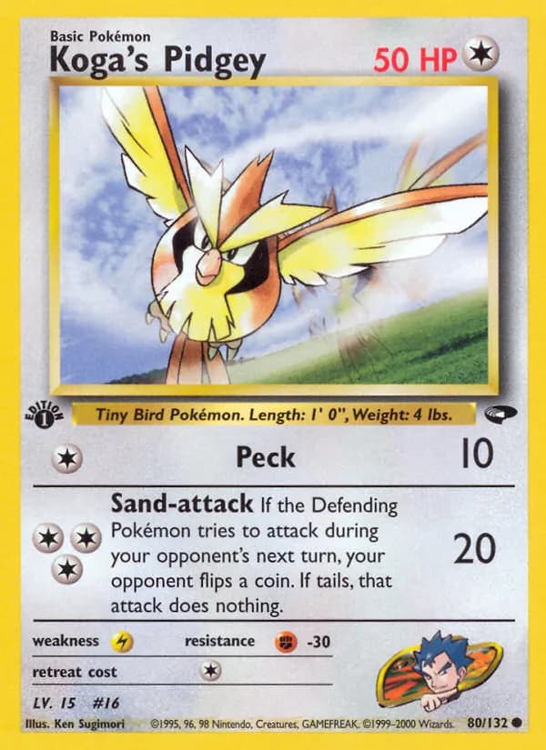 Koga's Pidgey — Gym Challenge, Common