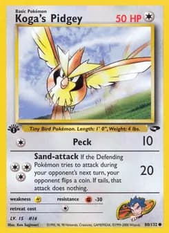 Koga's Pidgey — Gym Challenge — Common