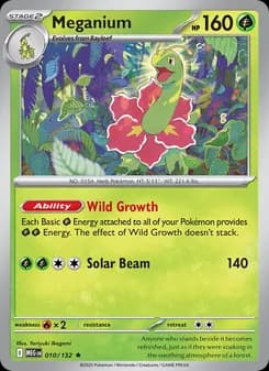 Meganium — Mega Evolution — Rare