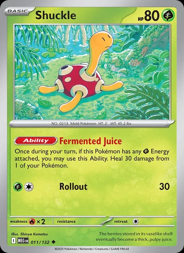 Shuckle — Mega Evolution, Uncommon