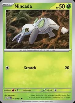 Nincada — Mega Evolution — Common