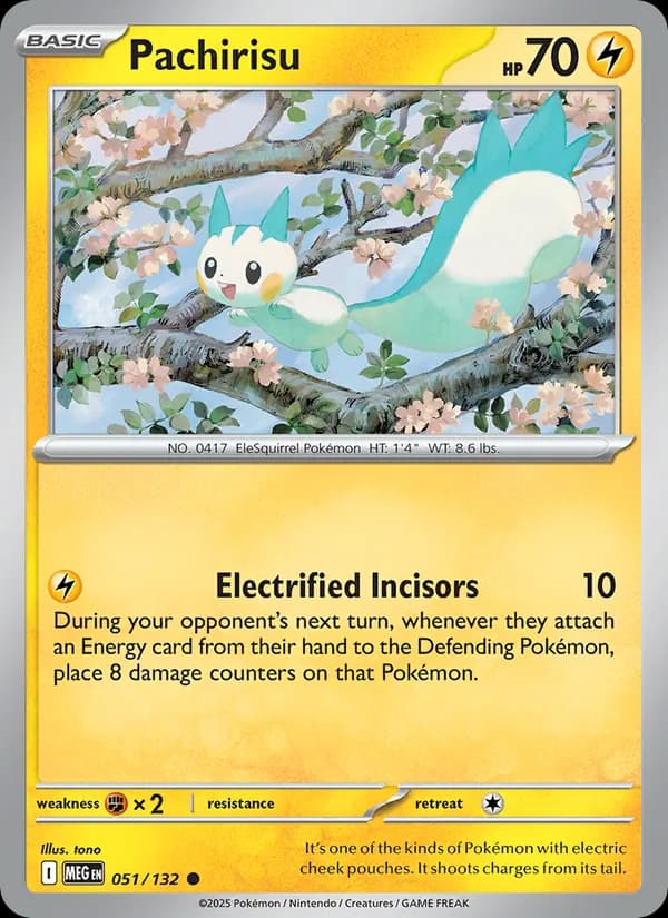 Pachirisu — Mega Evolution, Common
