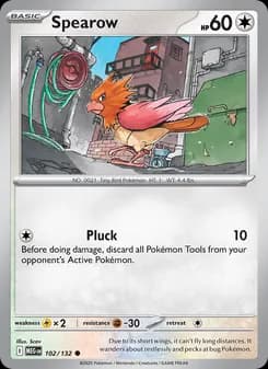 Spearow — Mega Evolution — Common