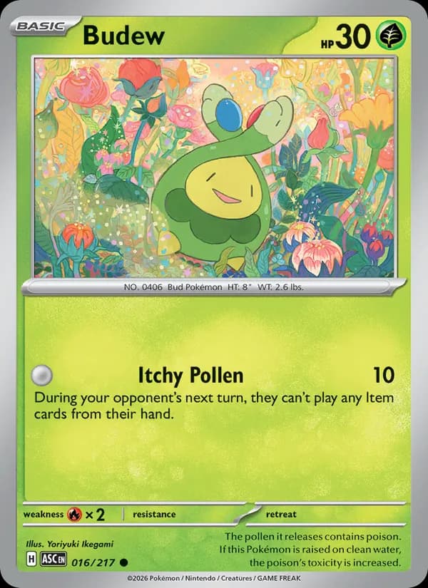 Budew — Ascended Heroes, Common