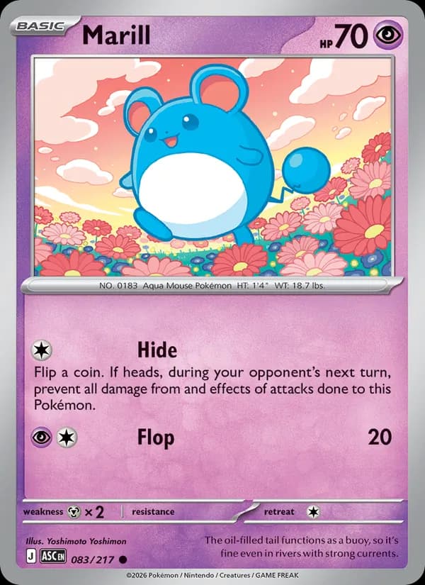 Marill — Ascended Heroes, Common