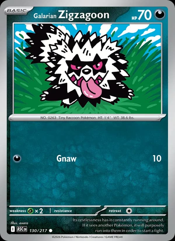 Galarian Zigzagoon — Ascended Heroes, Common