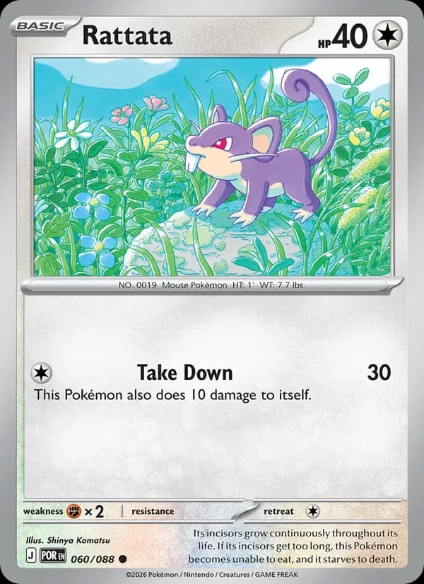 Rattata — Perfect Order, Common