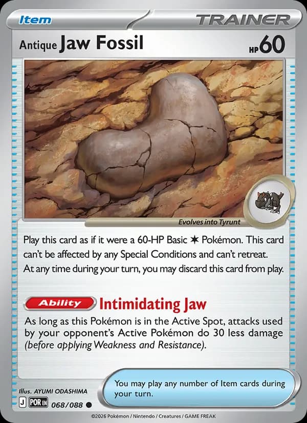 Antique Jaw Fossil — Perfect Order, Common