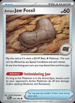 Antique Jaw Fossil — Perfect Order — Common