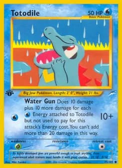 Totodile — Neo Destiny — Common