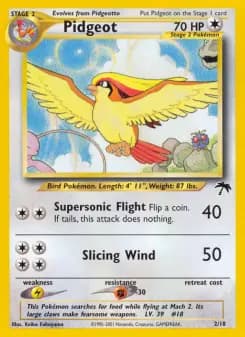Pidgeot — Southern Islands — Common