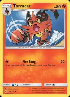 Torracat — Unbroken Bonds — Uncommon
