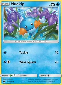 Mudkip — Celestial Storm — Common