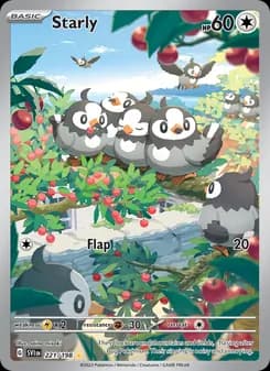 Starly — Scarlet & Violet — Illustration rare