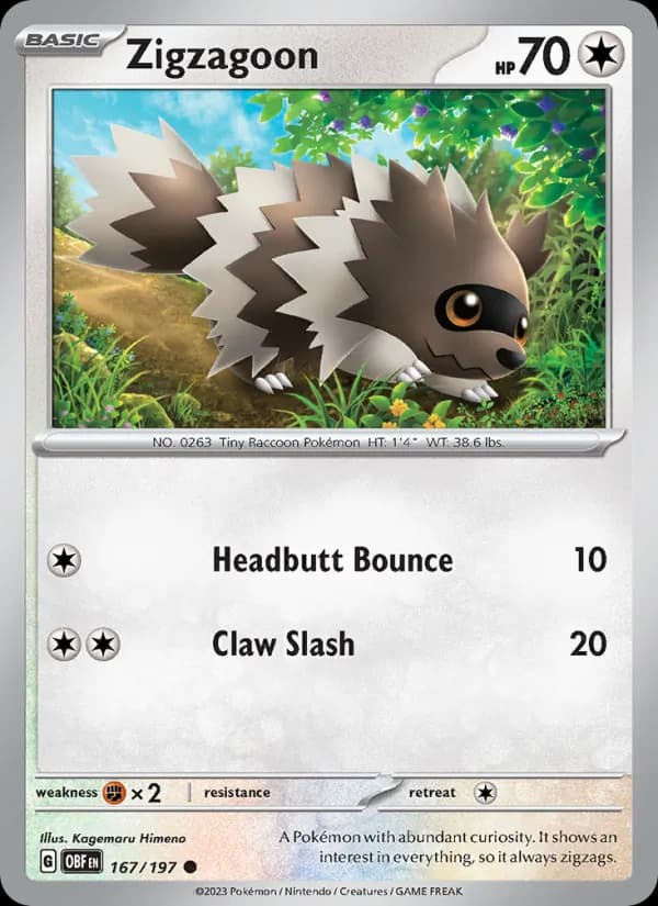 Zigzagoon — Obsidian Flames, Common