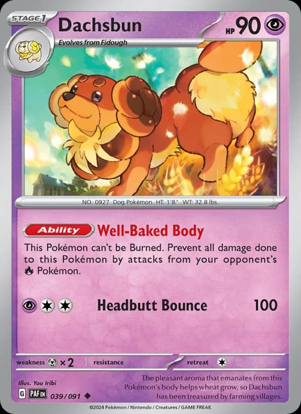 Dachsbun — Paldean Fates, Uncommon
