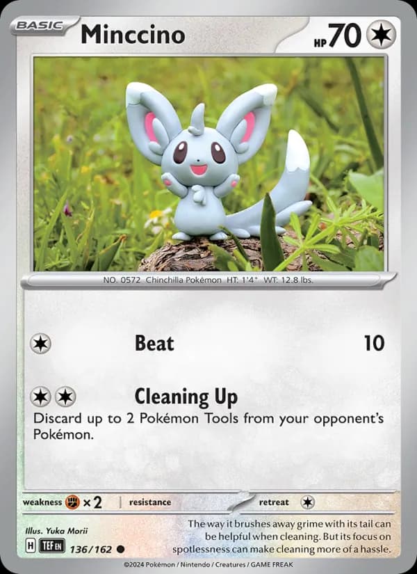 Minccino — Temporal Forces, Common