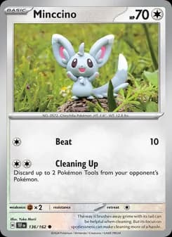 Minccino — Temporal Forces — Common