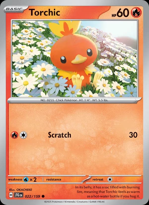 Torchic — Journey Together, Common