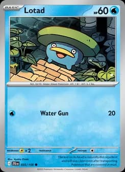 Lotad — Journey Together — Common