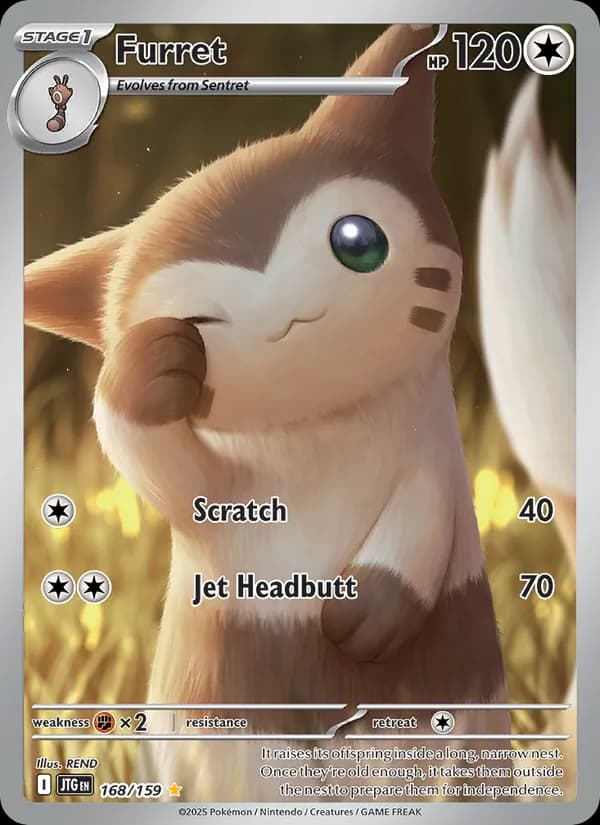 Furret — Journey Together, Illustration rare