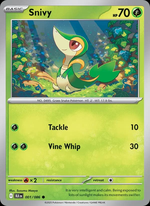 Snivy — Black Bolt, Common