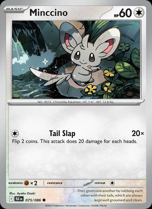 Minccino — Black Bolt, Common