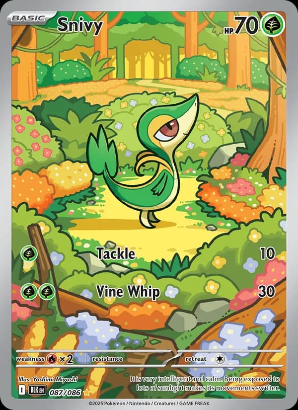 Snivy — Black Bolt, Illustration rare
