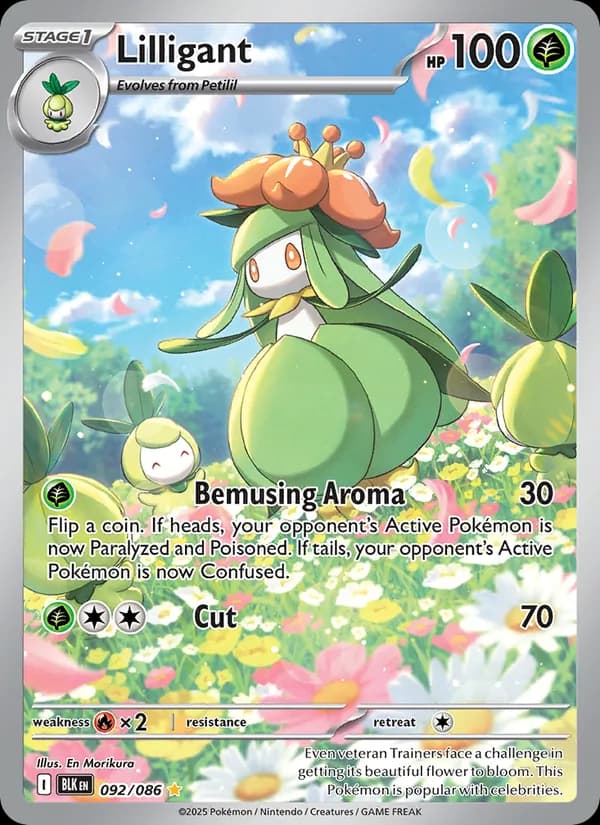 Lilligant — Black Bolt, Illustration rare