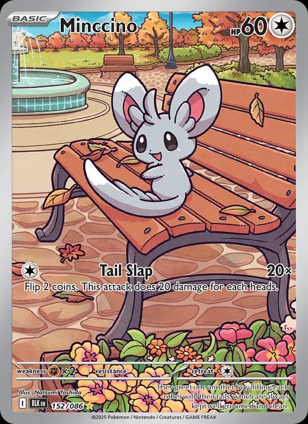 Minccino — Black Bolt, Illustration rare