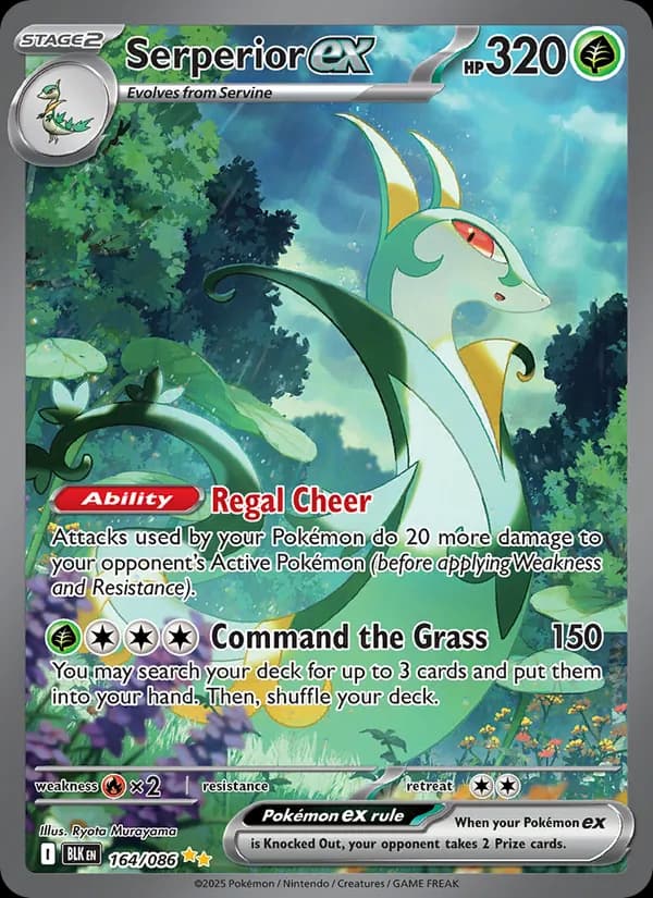 Serperior ex — Black Bolt, Special illustration rare